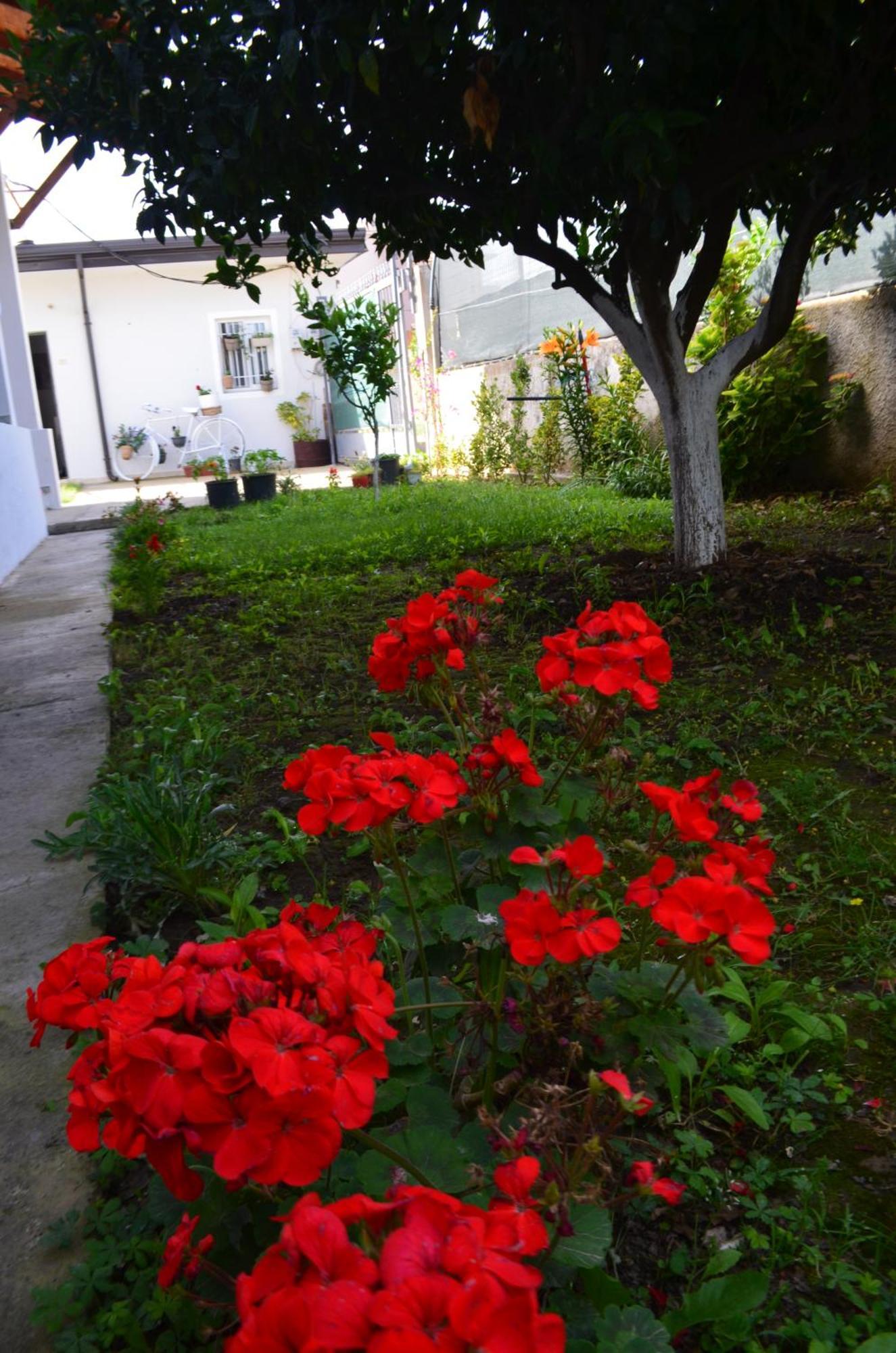 Rustic Tale Guesthouse Exterior foto