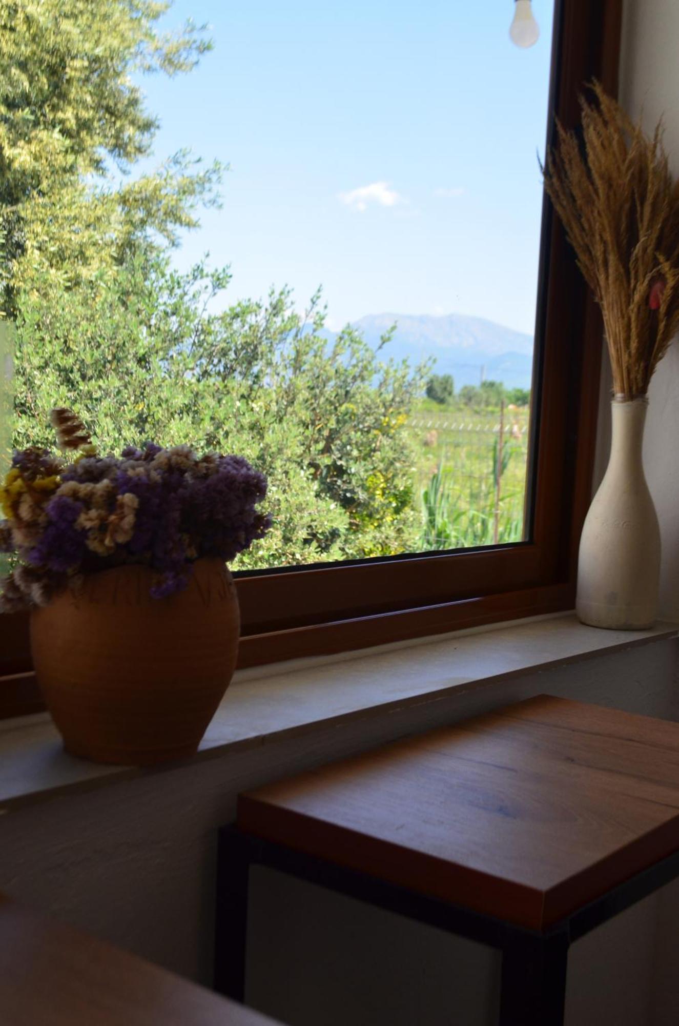 Rustic Tale Guesthouse Exterior foto